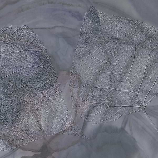 Gaia-Behang-Tapete-Glamora-2A-GlamDecor-GLXII272A-Selected Wallpapers