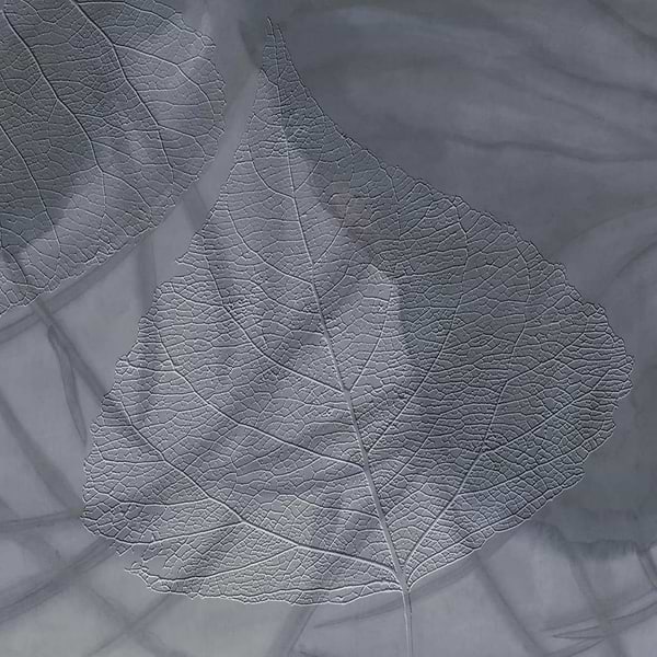 Gaia-Behang-Tapete-Glamora-2B-GlamDecor-GLXII272B-Selected Wallpapers