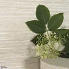 Gary-Wallpaper-Pierre Frey-Selected Wallpapers