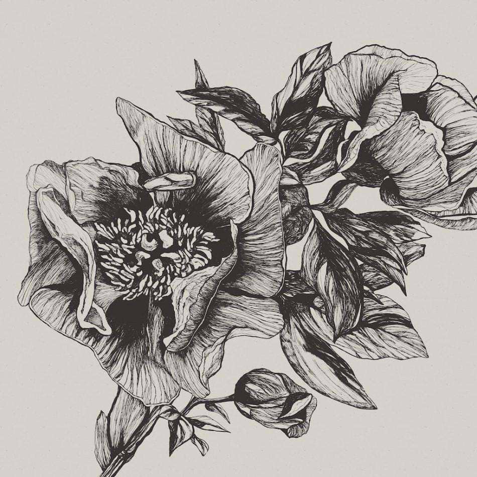 Giant Peonies-Behang-Tapete-Coordonne-Ink-Non Woven-9500700-Selected Wallpapers