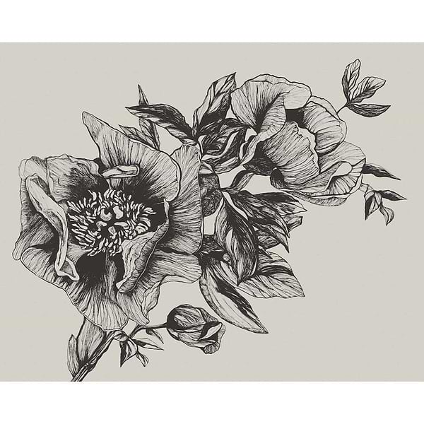 Giant Peonies-Behang-Tapete-Coordonne-Selected Wallpapers