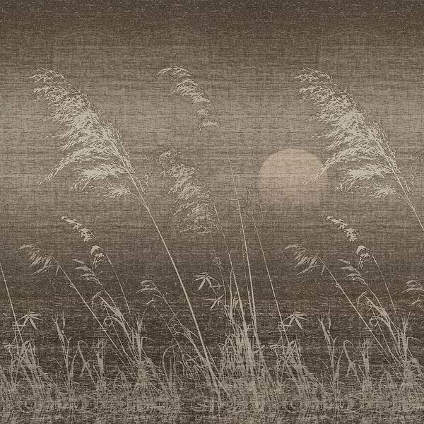 Gli Alisei-Behang-Wall & Deco-01-CWC-WDIS2101-Selected Wallpapers