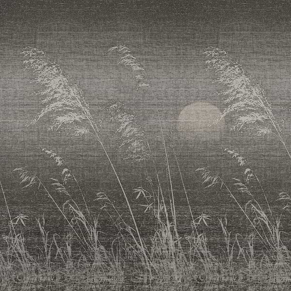 Gli Alisei-Behang-Wall & Deco-02-CWC-WDIS2102-Selected Wallpapers