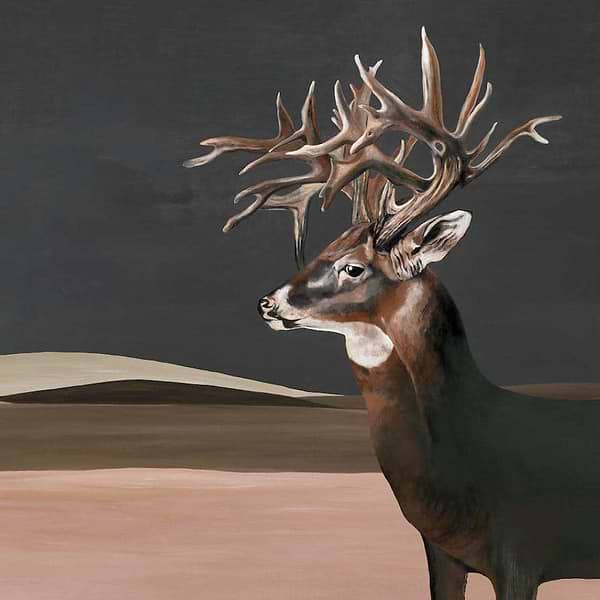 Great Deer-Behang-Tapete-Coordonne-Nude-Non Woven-9500201-Selected Wallpapers
