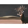Great Deer-Behang-Tapete-Coordonne-Selected Wallpapers