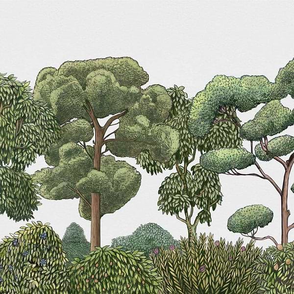 Green Forest-behang-Tapete-Coordonne-Natural-Non Woven-9700090-Selected Wallpapers