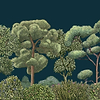 Green Forest-behang-Tapete-Coordonne-Midnight-Non Woven-9700093-Selected Wallpapers