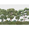 Green Forest-behang-Tapete-Coordonne-Selected Wallpapers