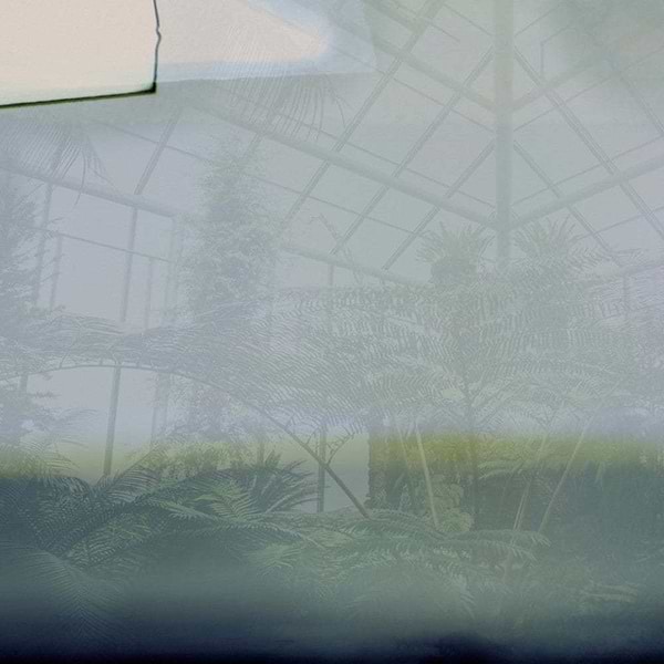 Greenhouse-Behang-Tapete-Glamora-1A-GlamDecor-GLXII291A-Selected Wallpapers