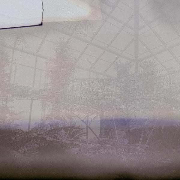 Greenhouse-Behang-Tapete-Glamora-2A-GlamDecor-GLXII292A-Selected Wallpapers