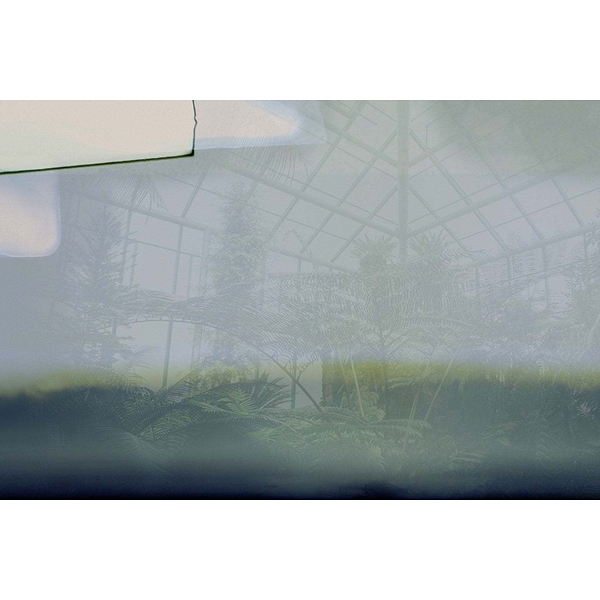 Greenhouse-Behang-Tapete-Glamora-Selected Wallpapers