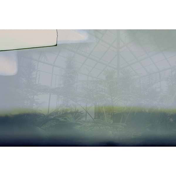 Greenhouse-Behang-Tapete-Glamora-Selected Wallpapers