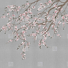 Haori-Behang-Tapete-LondonArt-D-RAW-S120M-Haori KMN05 D-Selected Wallpapers