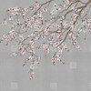 Haori-Behang-Tapete-LondonArt-D-RAW-S120M-Haori KMN05 D-Selected Wallpapers