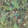 Hidden Puma-Behang-Tapete-Coordonne-Spring-Rol-9500010-Selected Wallpapers
