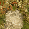 Hispalis-behang-Tapete-Cole & Son-Khaki Multi-Rol-117/2005-Selected Wallpapers