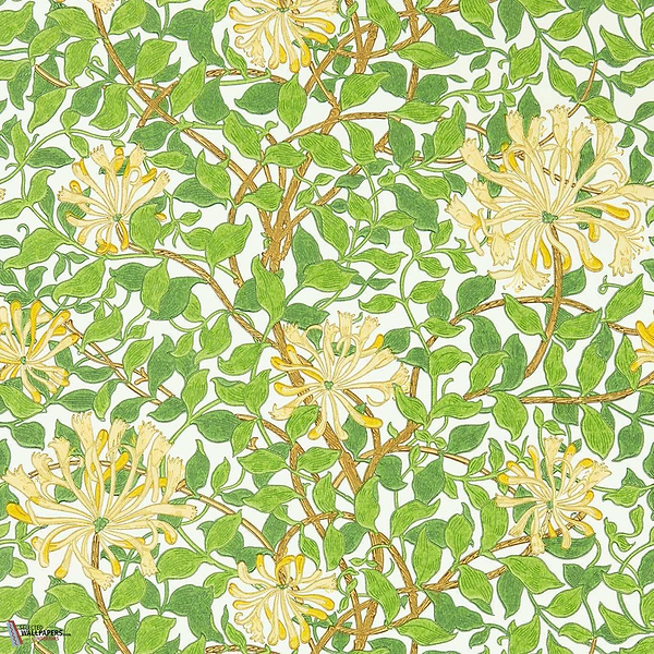 Honeysuckle-Behang-Tapete-Morris & Co-Selected Wallpapers