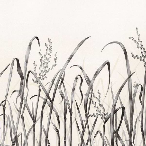 Hors Champs-Behang-Tapete-Nobilis-00-Rol-PAN130-Selected Wallpapers