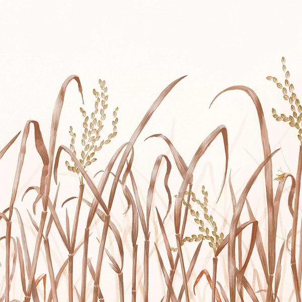 Hors Champs-Behang-Tapete-Nobilis-01-Rol-PAN131-Selected Wallpapers