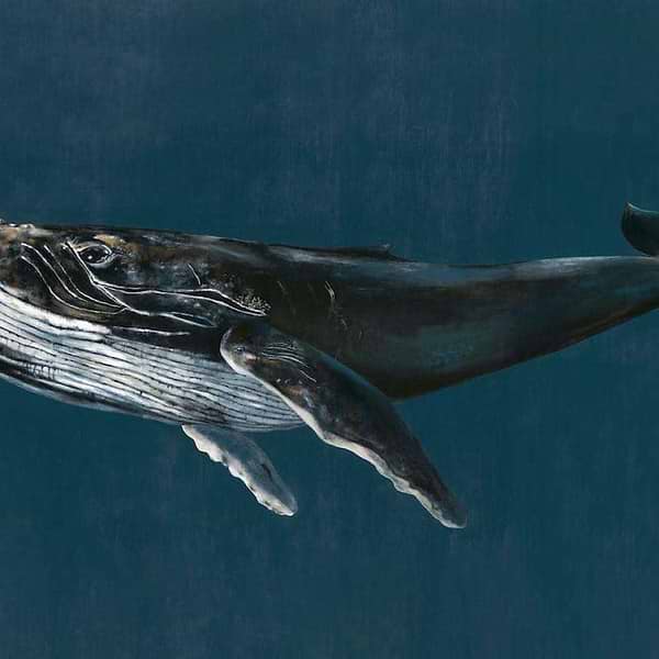 Humpback Whale-Behang-Tapete-Coordonne-Ocean-Non Woven-9500100-Selected Wallpapers