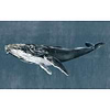 Humpback Whale-Behang-Tapete-Coordonne-Selected Wallpapers