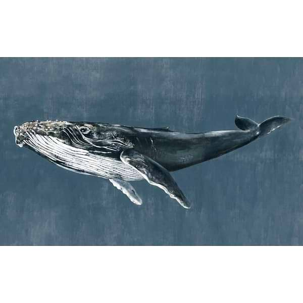 Humpback Whale-Behang-Tapete-Coordonne-Selected Wallpapers