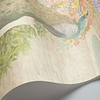 Idylle-Behang-Tapete-Cole & Son-Honey Citriine-Set-120/1004-Selected Wallpapers