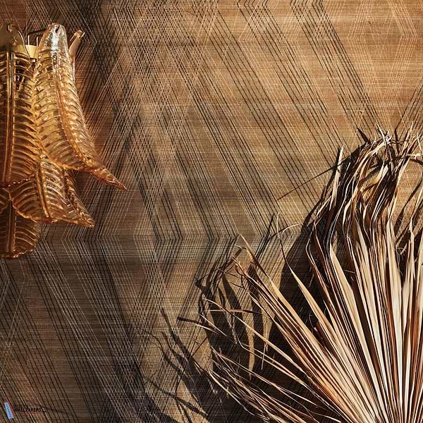 Imicu-behang-Tapete-Black Edition-Selected Wallpapers