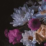 Immense-Behang-Tapete-INSTABILELAB-02-Vinyl New Middle-immense02-Selected Wallpapers