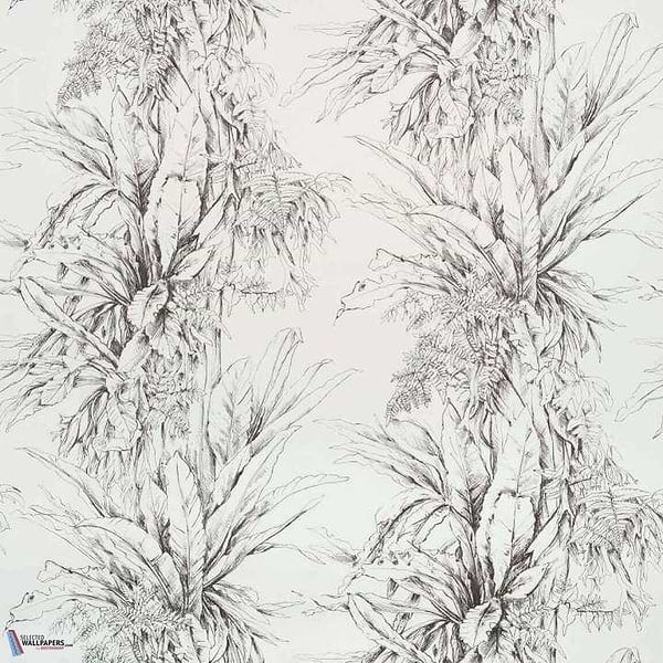 Jalapao-behang-Tapete-Pierre Frey-Fusain-Meter (M1)-FP549001-Selected Wallpapers