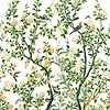 Jardin Bloom Mural-Behang-Tapete-Thibaut-White-Set-TM13666-Selected Wallpapers
