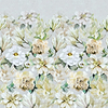 Jardin Botanique-Behang-Tapete-Designers Guild-Birch-Rol-PDG1149/02-Selected Wallpapers