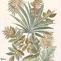 Jardin Ephemere-behang-Tapete-Casamance-Mordore / Celadon-Meter (M1)-70753692-Selected Wallpapers