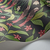 Jasmine & Serin Symphony-behang-Tapete-Cole & Son-Selected Wallpapers
