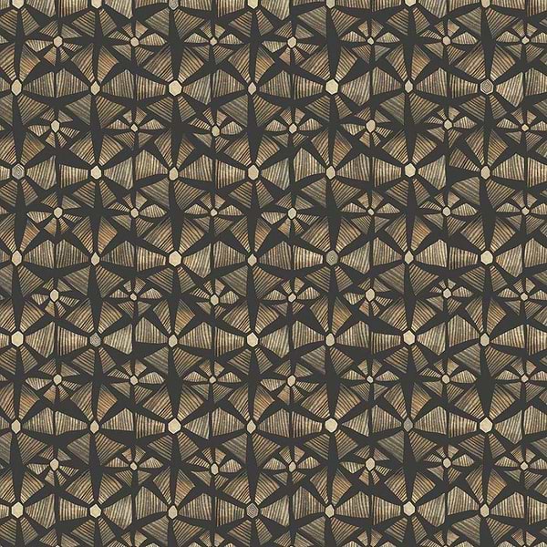 Kalahari-Behang-Tapete-Cole & Son-Black-Rol-119/6028-Selected Wallpapers