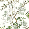 Katsura-Behang-Tapete-Thibaut-Green and White-Rol-T13621-Selected Wallpapers