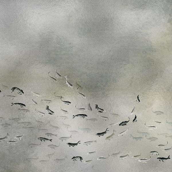 Koi Metallics-Tapete-Coordonne-Silver-Metallics-9600061-Selected Wallpapers