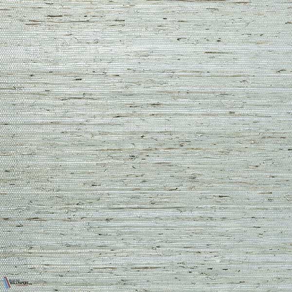 Kudzu-Behang-Tapete-Arte-Mint-Meter (M1)-54531-Selected Wallpapers