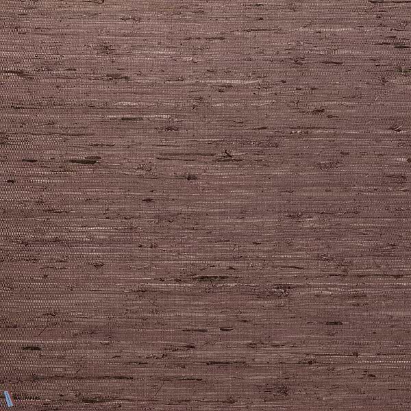Kudzu-Behang-Tapete-Arte-Raisin-Meter (M1)-54535-Selected Wallpapers