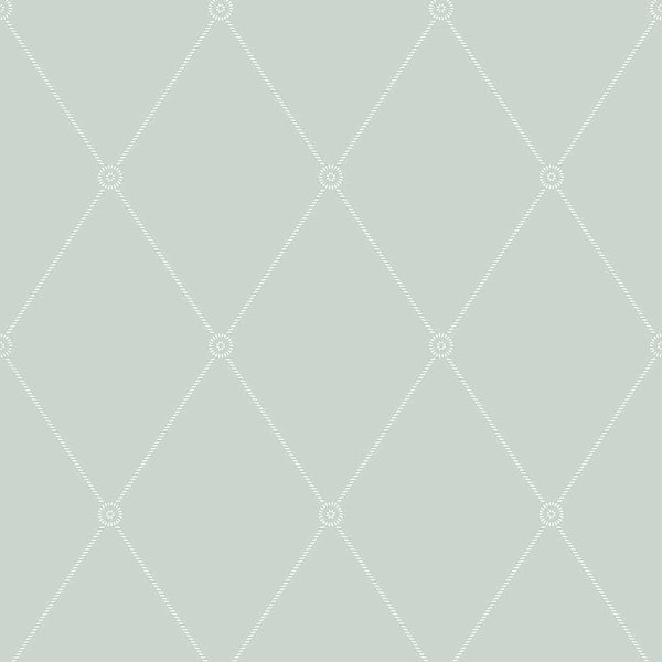 Large Georgian Rope Trellis-Behang-Tapete-Cole & Son-Duck Egg-Rol-100/13066-Selected Wallpapers