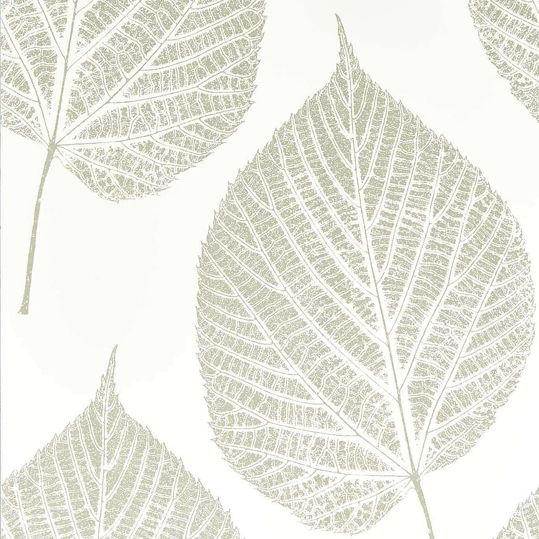 Leaf-behang-Tapete-Harlequin-Chalk/Silver-Rol-112609-Selected Wallpapers