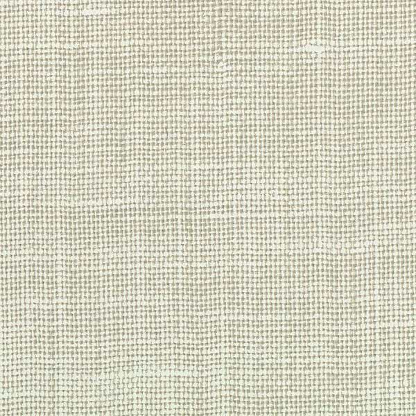 L'incontournable-behang-Tapete-Elitis-01-Meter (M1)-RM 1009 01-Selected Wallpapers