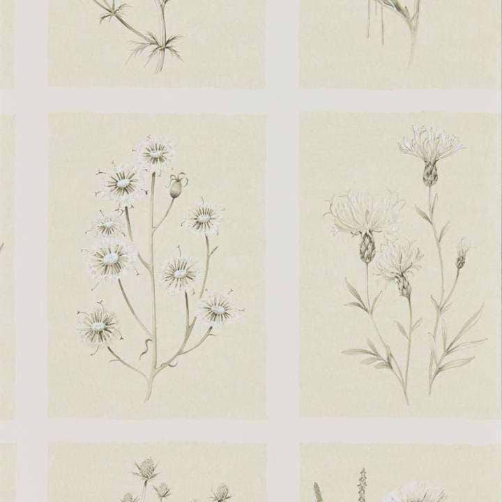 Little Thistles-behang-Tapete-Sanderson-Ecru-Rol-216511-Selected Wallpapers