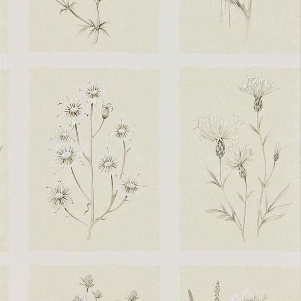 Little Thistles-behang-Tapete-Sanderson-Ecru-Rol-216511-Selected Wallpapers