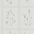 Little Thistles-behang-Tapete-Sanderson-Pewter-Rol-216512-Selected Wallpapers
