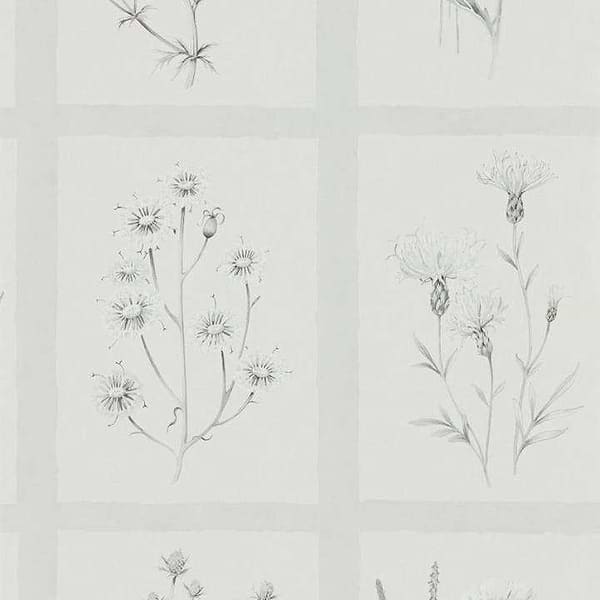 Little Thistles-behang-Tapete-Sanderson-Pewter-Rol-216512-Selected Wallpapers