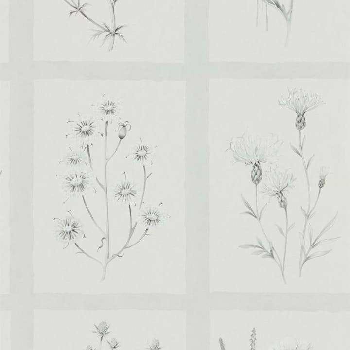 Little Thistles-behang-Tapete-Sanderson-Pewter-Rol-216512-Selected Wallpapers