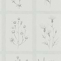Little Thistles-behang-Tapete-Sanderson-Grey/Blue-Rol-216513-Selected Wallpapers