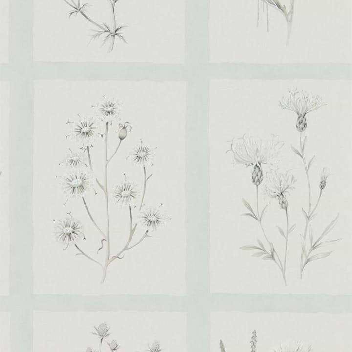 Little Thistles-behang-Tapete-Sanderson-Grey/Blue-Rol-216513-Selected Wallpapers