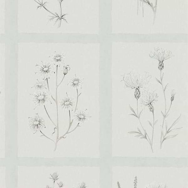 Little Thistles-behang-Tapete-Sanderson-Grey/Blue-Rol-216513-Selected Wallpapers